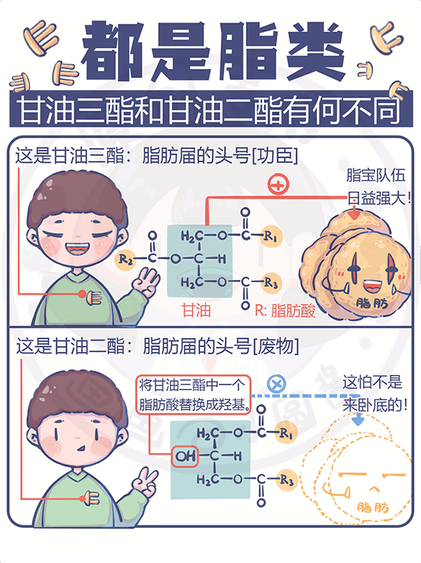 都是脂類甘油三酯和甘油二酯有何不同？